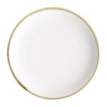 fb999_coupeplate1white