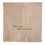 gh031_recycled-napkin